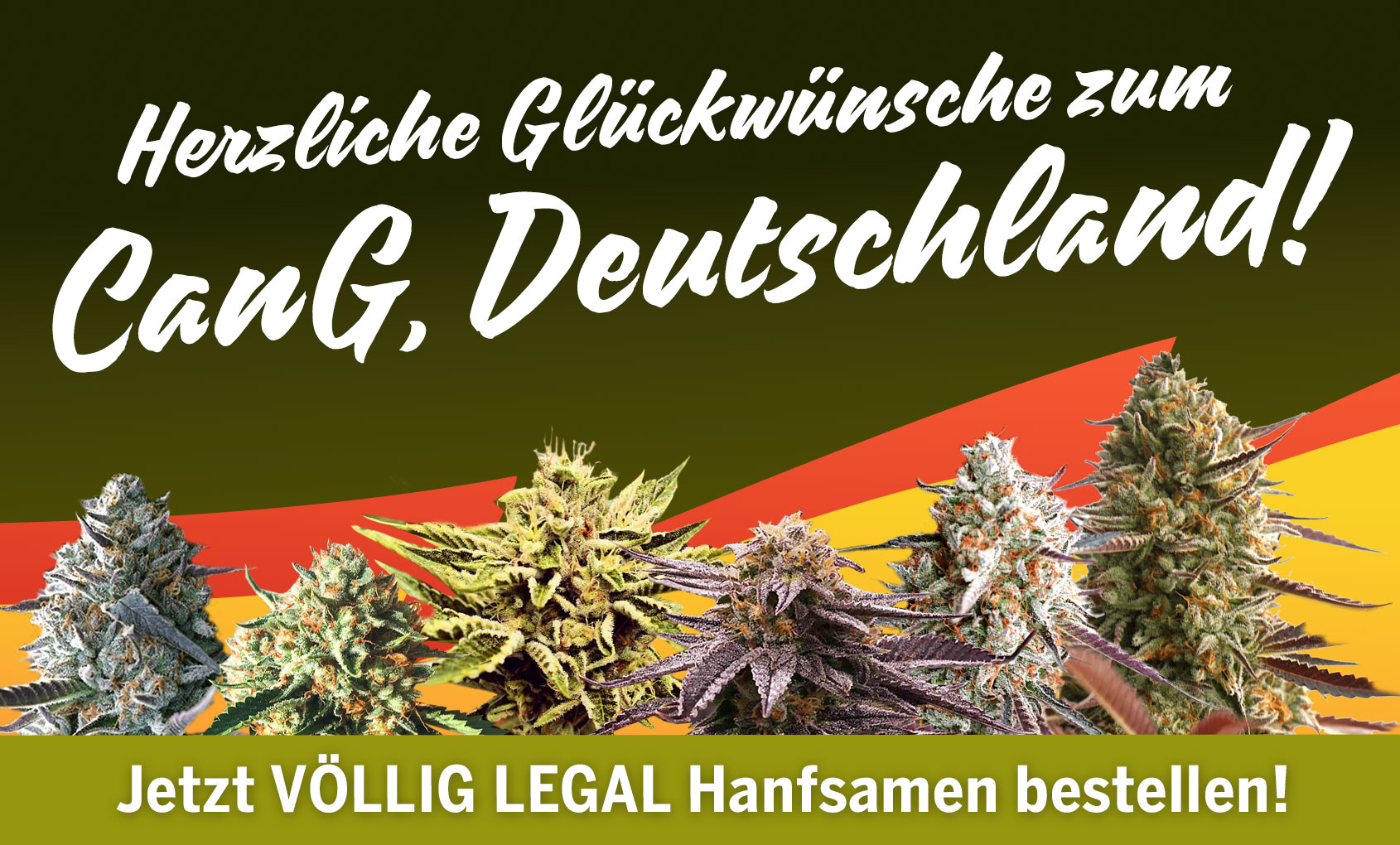 Legal Cannabis Samen bestellen!